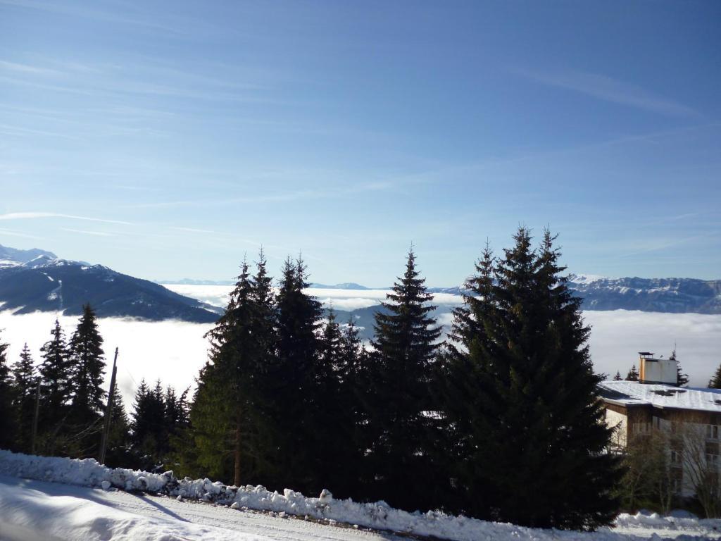Appartements Le Clos Des Gentianes Allevard Esterno foto